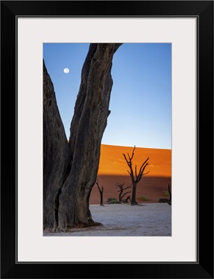 Deadvlei, Naukluft National Park, Namibia