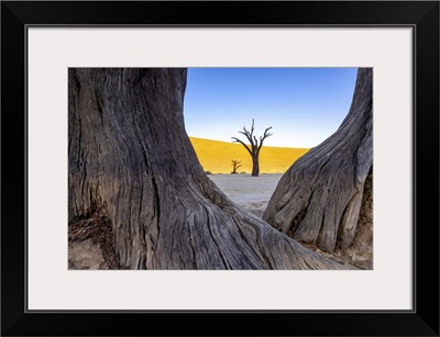 Deadvlei, Naukluft National Park, Namibia