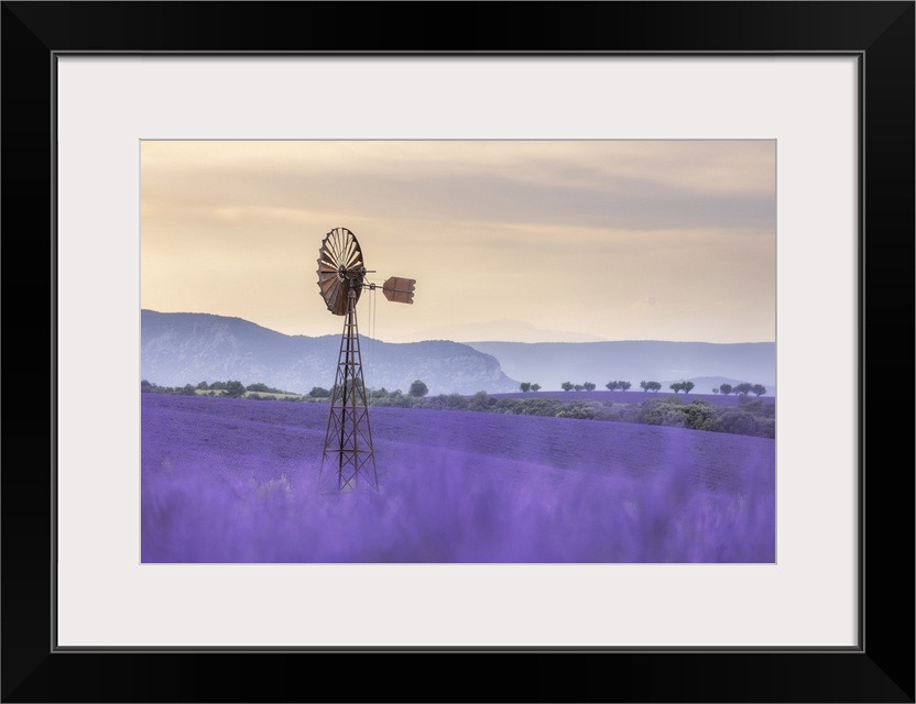 Dissused wind pump amongst lavender fields, Valensole Plateau, Provence, France