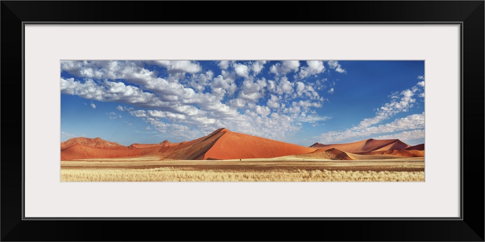 Dune impression in Namib. Namibia, Hardap, Namib, Tsauchab River. Namib Naukluft National Park. Africa, Namibia.