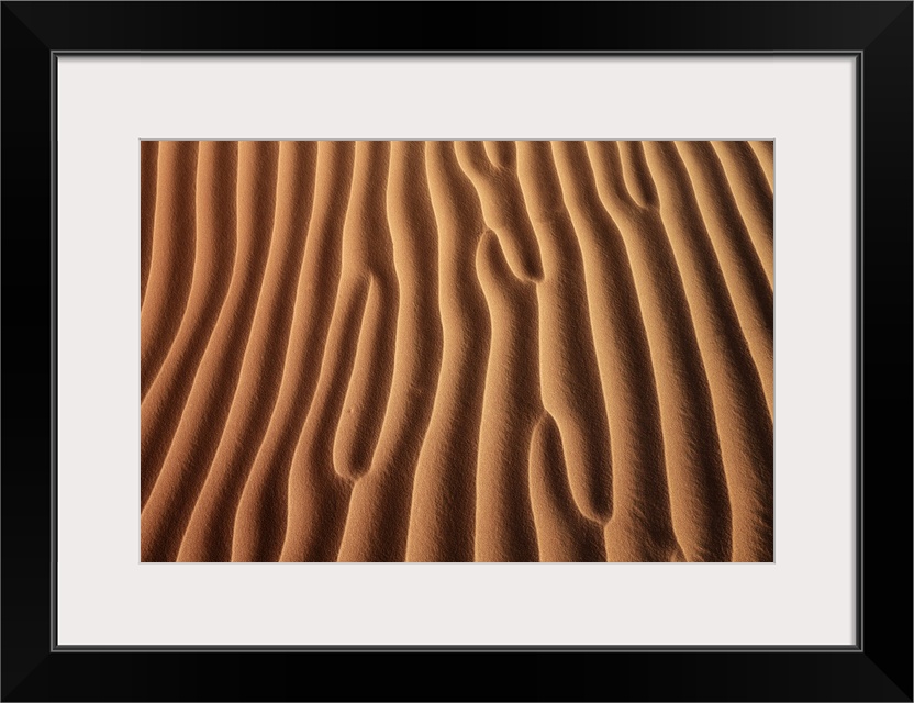 Dune landscape in Rub al-Khali. Oman, Dhofar, Ramlat Al Hashman. Rub al-Khali. Rub al-Khali, Middle East, Oman.