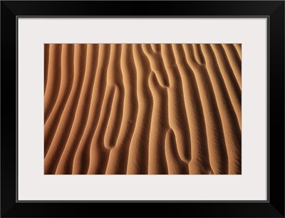 Dune Landscape In Rub Al-Khali, Oman, Dhofar, Ramlat Al Hashman, Rub Al-Khali