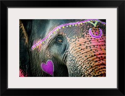 Elephant's eye. Sonepur Mela, India