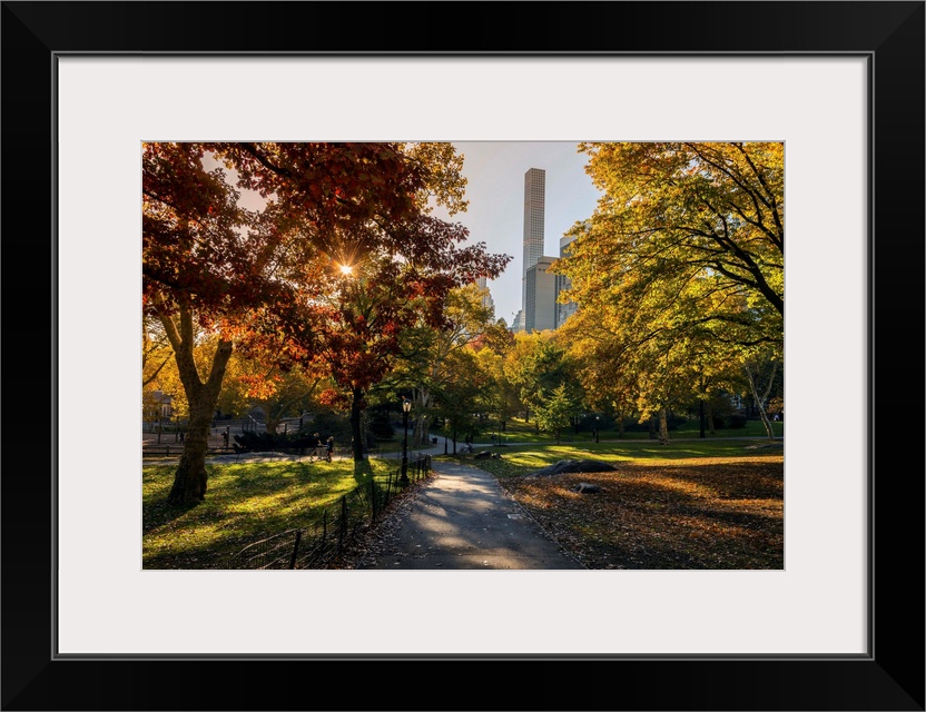 Fall foliage at Central Park, Manhattan, New York, USA.