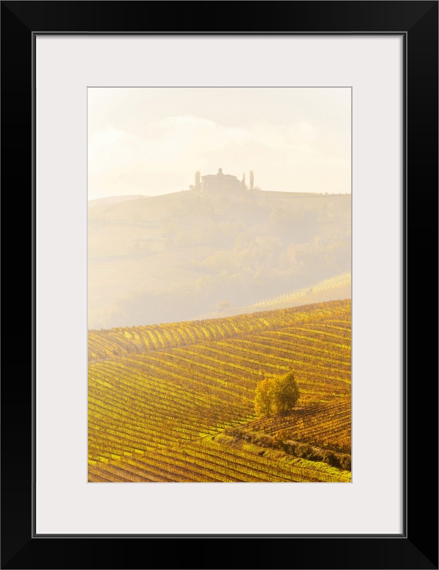 Farmhouse in the fog with autumn colors in the vineyards. La Morra, Barolo wine region, Langhe, Piedmont, Italy, Europe.