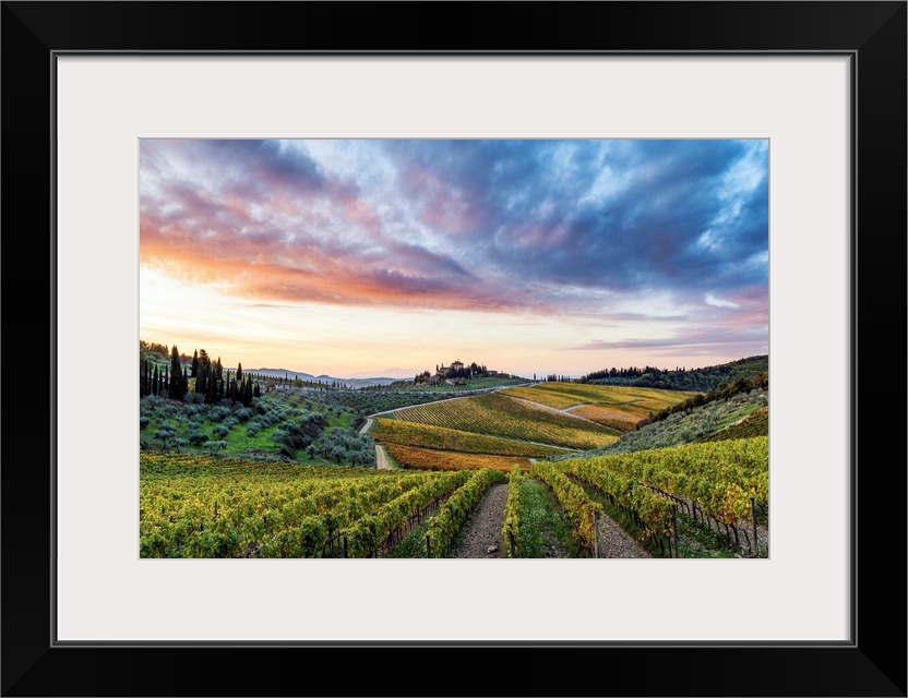 Farmhouse Surrounded By Vineyards At Sunrise. Gaiole In Chianti, Siena Province, Tuscany, Italy.