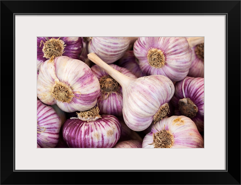 France, Poitou Charentes, La Rochelle, market, garlic.