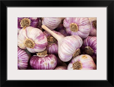 France, Poitou Charentes, La Rochelle, Market, Garlic