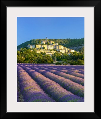 France, Provence-Alpes-Cote d'Azur, Banon And Lavender Fields