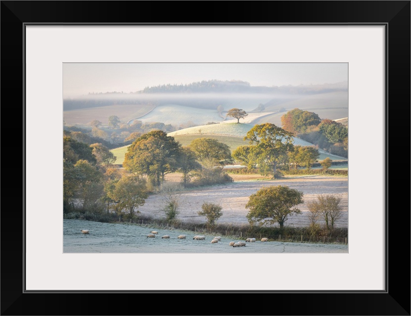 Frost covered countryside at dawn, mid Devon, England. Autumn (November) 2020.