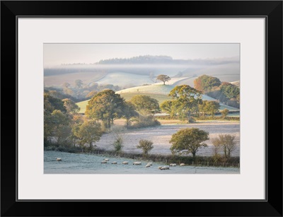 Frost Covered Countryside At Dawn, Mid Devon, England