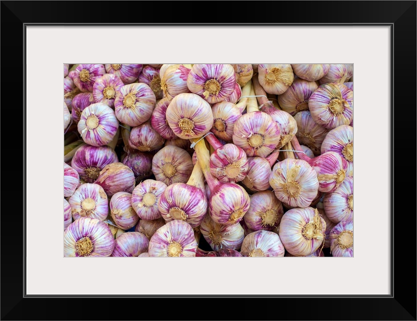 Garlic bulbs for sale at weekly farmer's market on Place de la Liberte, Sarlat-la-Caneda, Dordogne Department, Aquitaine, ...