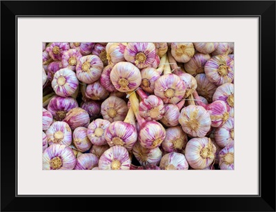 Garlic Bulbs, Farmer's Market, Place De La Liberte, Sarlat-La-Caneda, Aquitaine, France