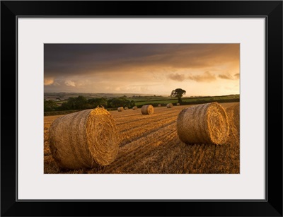 Hay Bales in a ploughed field at sunset, Eastington, Devon, England