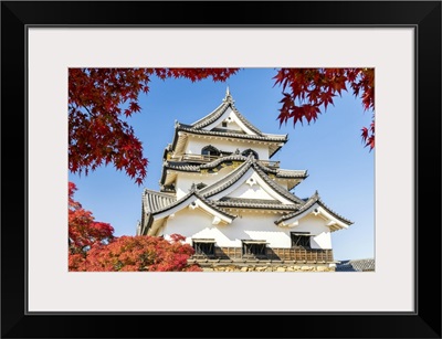Hikone Castle In Autumn, Shiga Prefecture, Japan