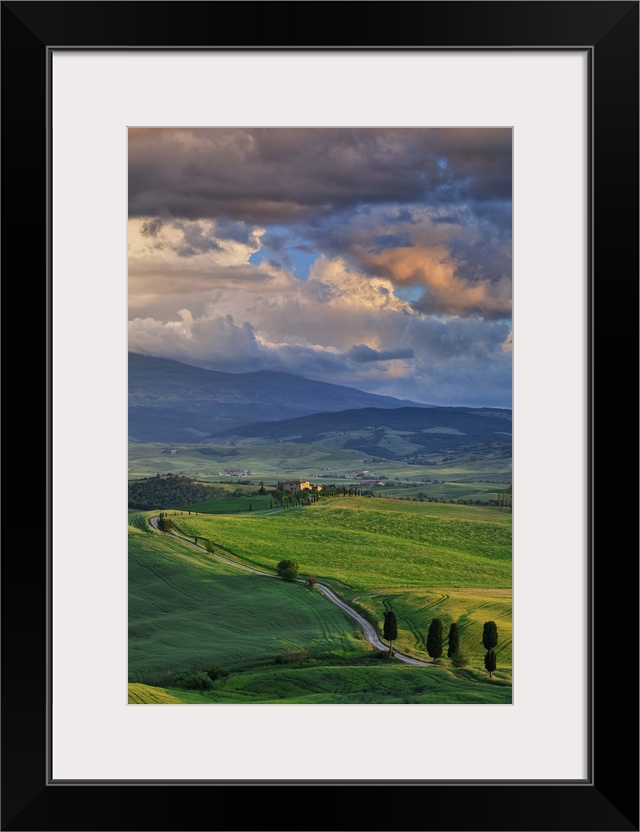 Italy, Tuscany, Siena district, Orcia Valley, country road near Pienza.