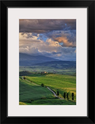 Italy, Tuscany, Siena district, Orcia Valley, country road near Pienza