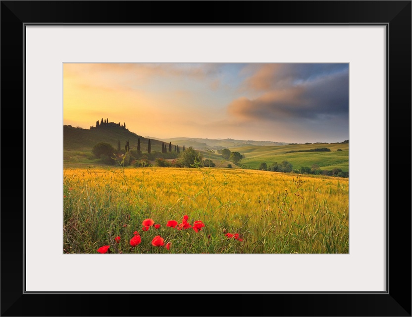 Italy, Tuscany, Siena district, Orcia Valley, Podere Belvedere near San Quirico d'Orcia