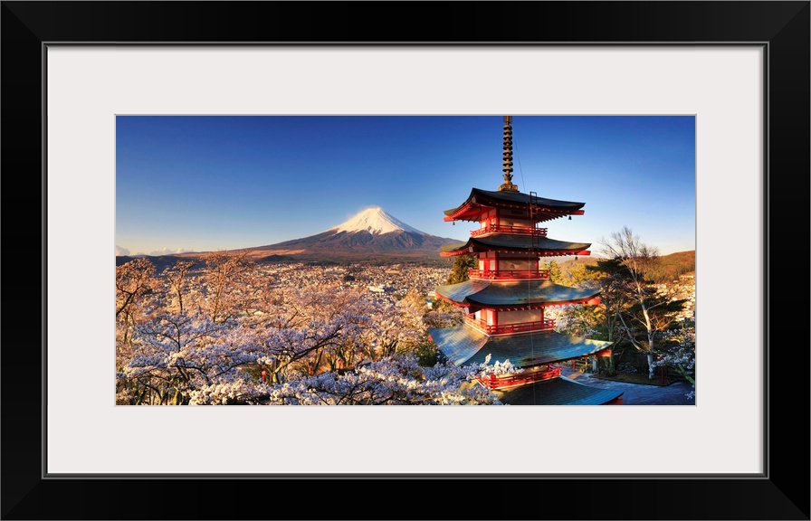 Japan, Yamanashi Prefecture, Fuji-Yoshida, Chureito Pagoda and Mt Fuji during Cherry Blossom Season.