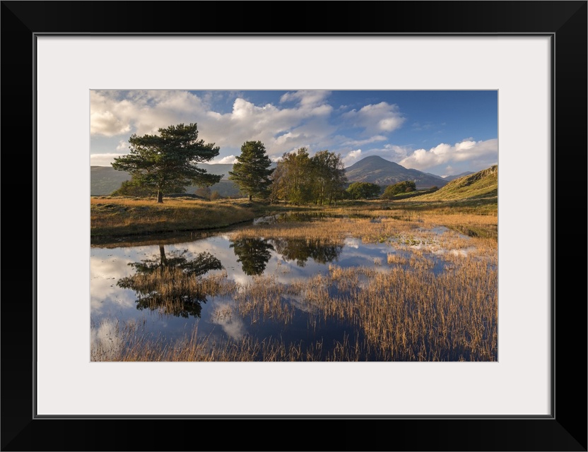 Kelly Hall Tarn and the Coniston Old Man, Lake District, Cumbria, England.  Autumn (October) 2016.