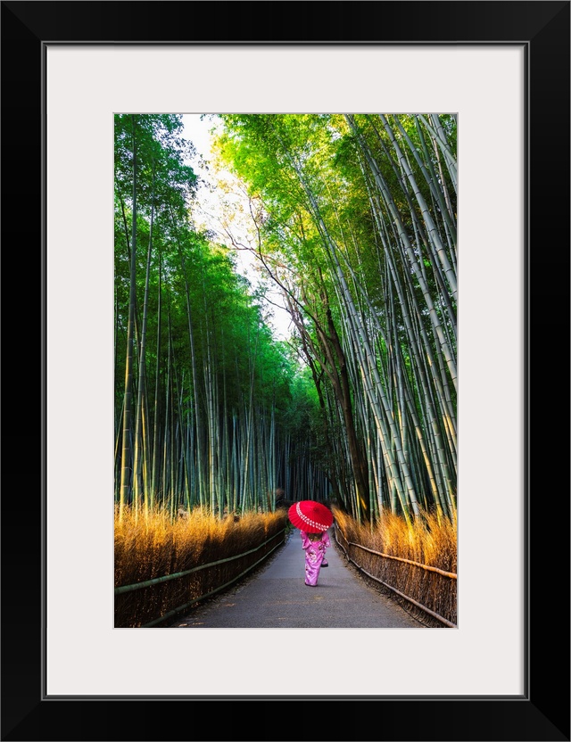 Arashiyama, Kyoto, Kyoto prefecture, Kansai region, Japan. Woman in traditional kimono walking in the bamboo grove at sunr...