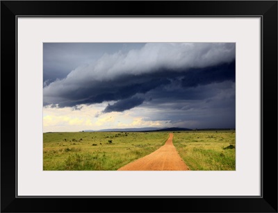 Landscape, Maasai Mara National Reserve, Kenya
