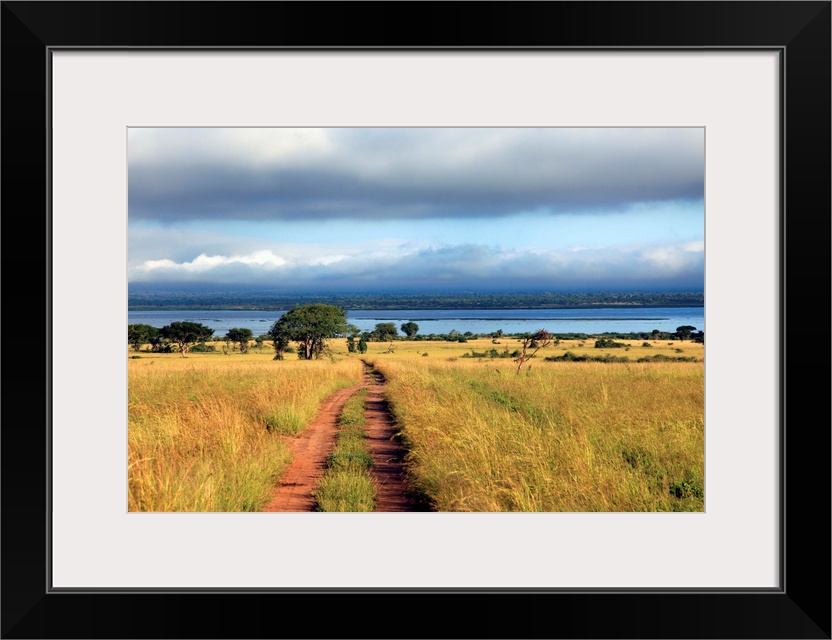 Landscape, Murchison Falls national park, Uganda, East Africa