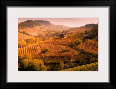 Langhe, Piedmont, Italy. Autumn Landscape With Vineyards And Hills.