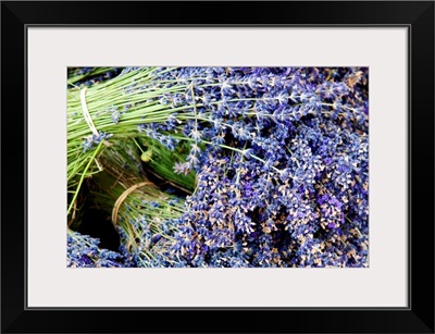 Lavender bundles for sale in Roussillon, Sault, Provence, France