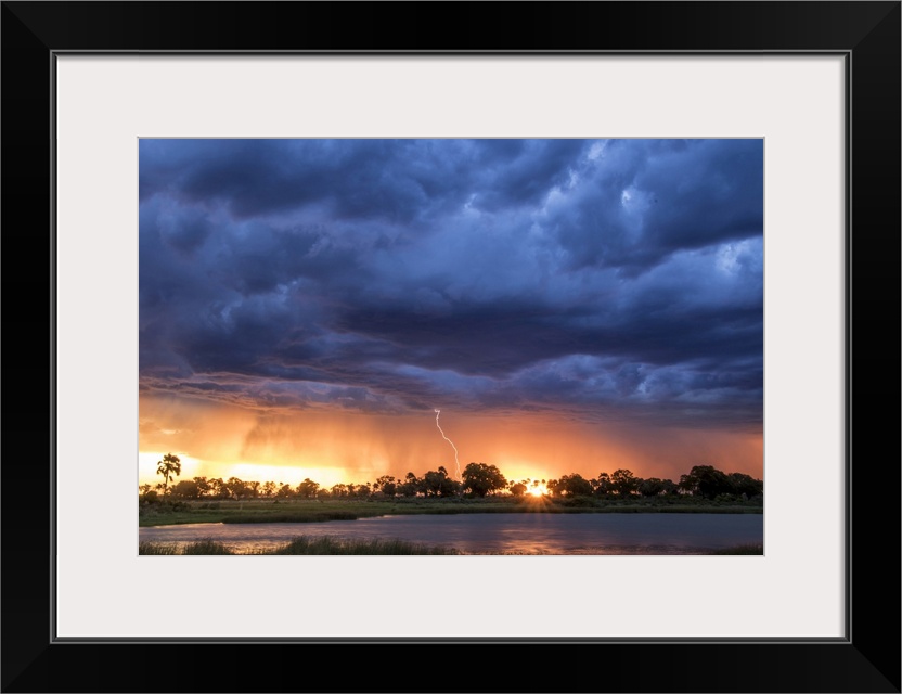 Lightning shoots from a summer thunderstorm as the sun sets behind it, Okavango Delta, Botswana