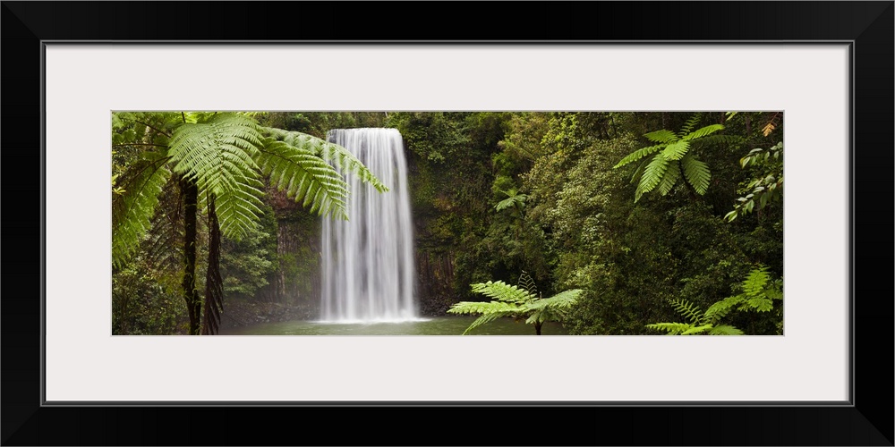 Milla Milla Falls, Atherton Highlands nr Cairns, Queensland, Australia