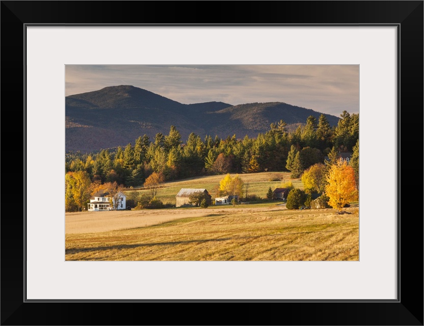 USA, New York, Adirondack Mountains, Lake Placid, field at sunset, autumn