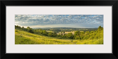 Newland's Corner, North Downs, Guildford, Surrey, England