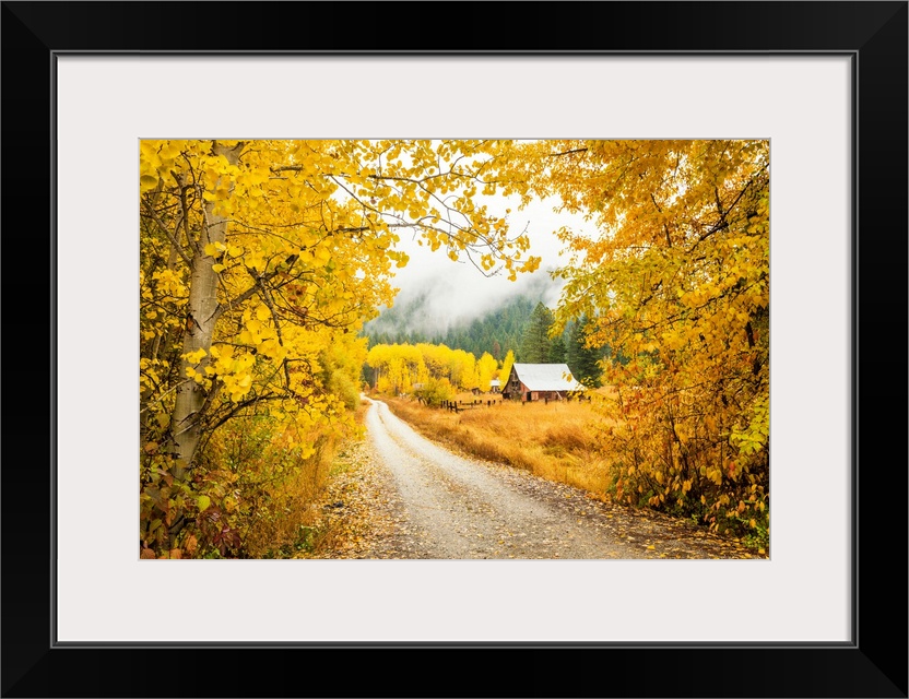 Old Barn In Autumn, Wenatchee National Forest, Washington, USA