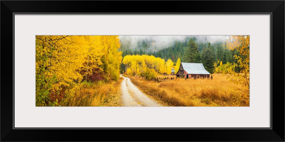 Old Barn In Autumn, Wenatchee National Forest, Washington, USA