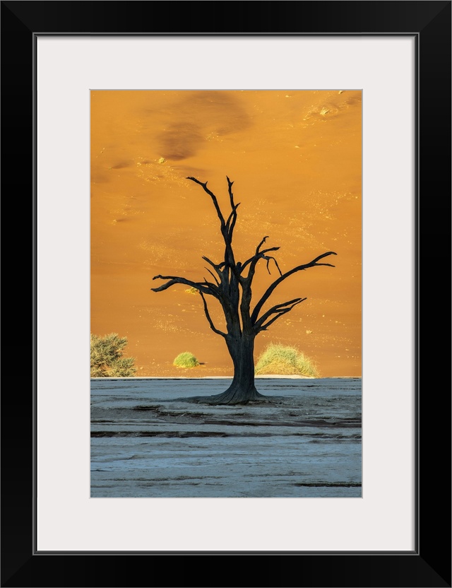 Old dead tree, Deadvlei, Namib-Naukluft National Park, Sesriem, Namibia