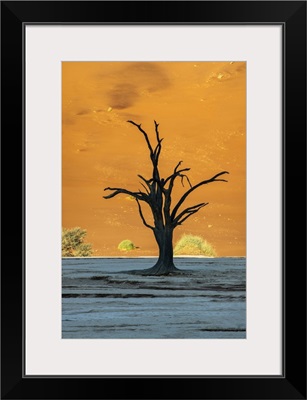 Old Dead Tree, Deadvlei, Namib-Naukluft National Park, Sesriem, Namibia