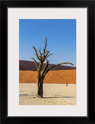 Old Dead Tree, Deadvlei, Namib-Naukluft National Park, Sesriem, Namibia