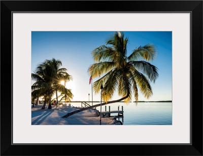 Palm Trees And Jetty, Islamorada, Florida Keys, USA