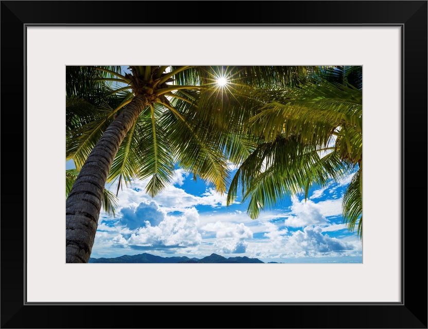 Palm trees and tropical beach, La Digue, Seychelles.