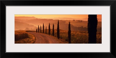 Road And Cypress Trees, Val D' Orcia, Tuscany, Italy