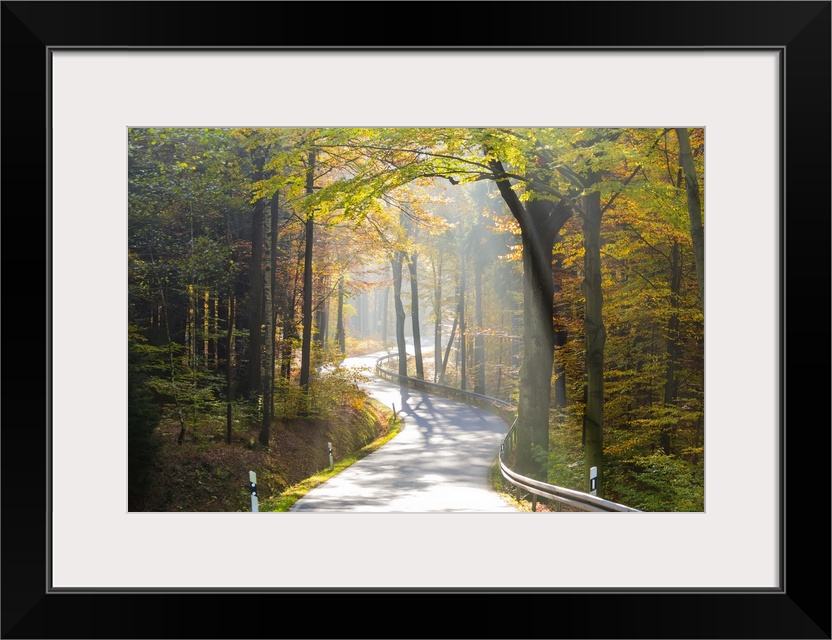 Road through autumn woodland, Saxon Switzerland, Saxony, Germany