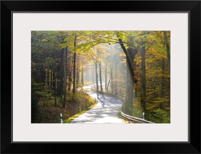 Road through autumn woodland, Saxon Switzerland, Saxony, Germany