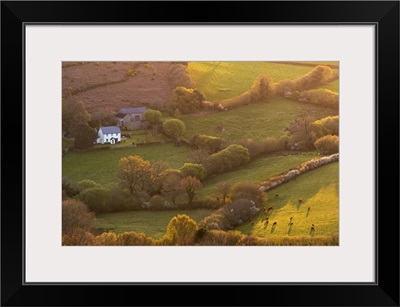 Rural cottage in countryside surroundings, Dartmoor National Park, Devon, England