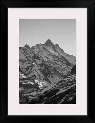 Schreckhorn, Grindelwald, Jungfrau Region, Berner Oberland, Switzerland