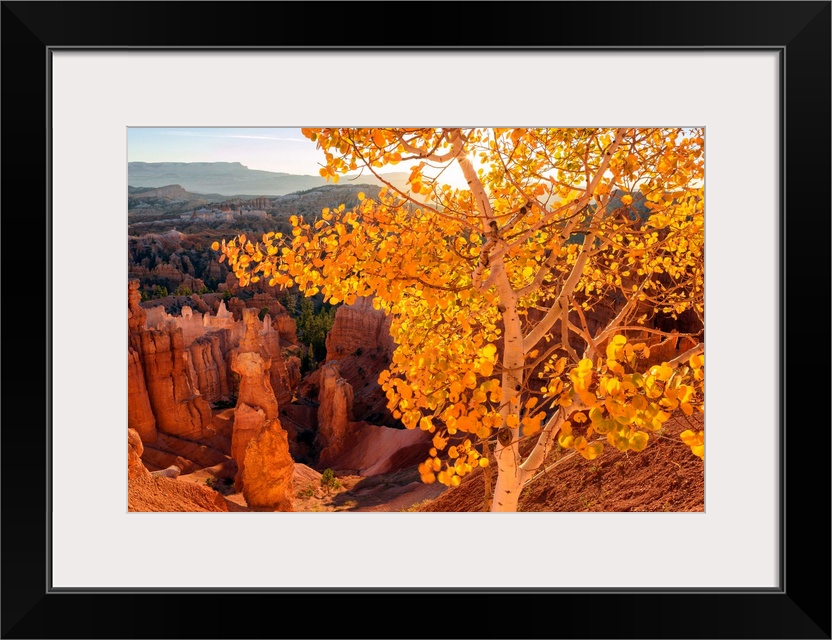 USA, Southwest, Colorado Plateau, Utah, Bryce Canyon, National Park, UNESCO World Heritage.