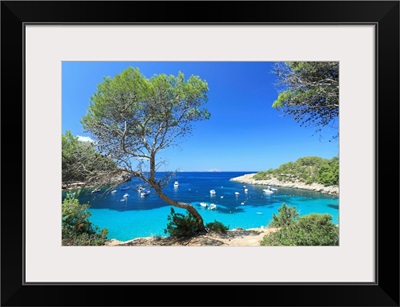 Spain, Balearic Islands, Ibiza, Cala Salada Beach