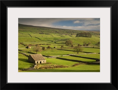 Stone Barns And Dry Stone Walls In Wensleydale, Yorkshire Dales National Park, England