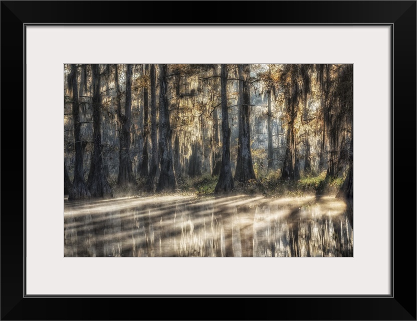 Sunrise in Atchafalaya Basin in Autumn, Louisiana, USA.