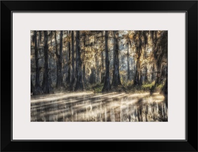 Sunrise In Atchafalaya Basin In Autumn, Louisiana, USA